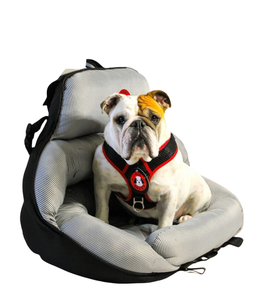 The Rocketeer Pack Canine Seat Belt Harness Dog Car Harness