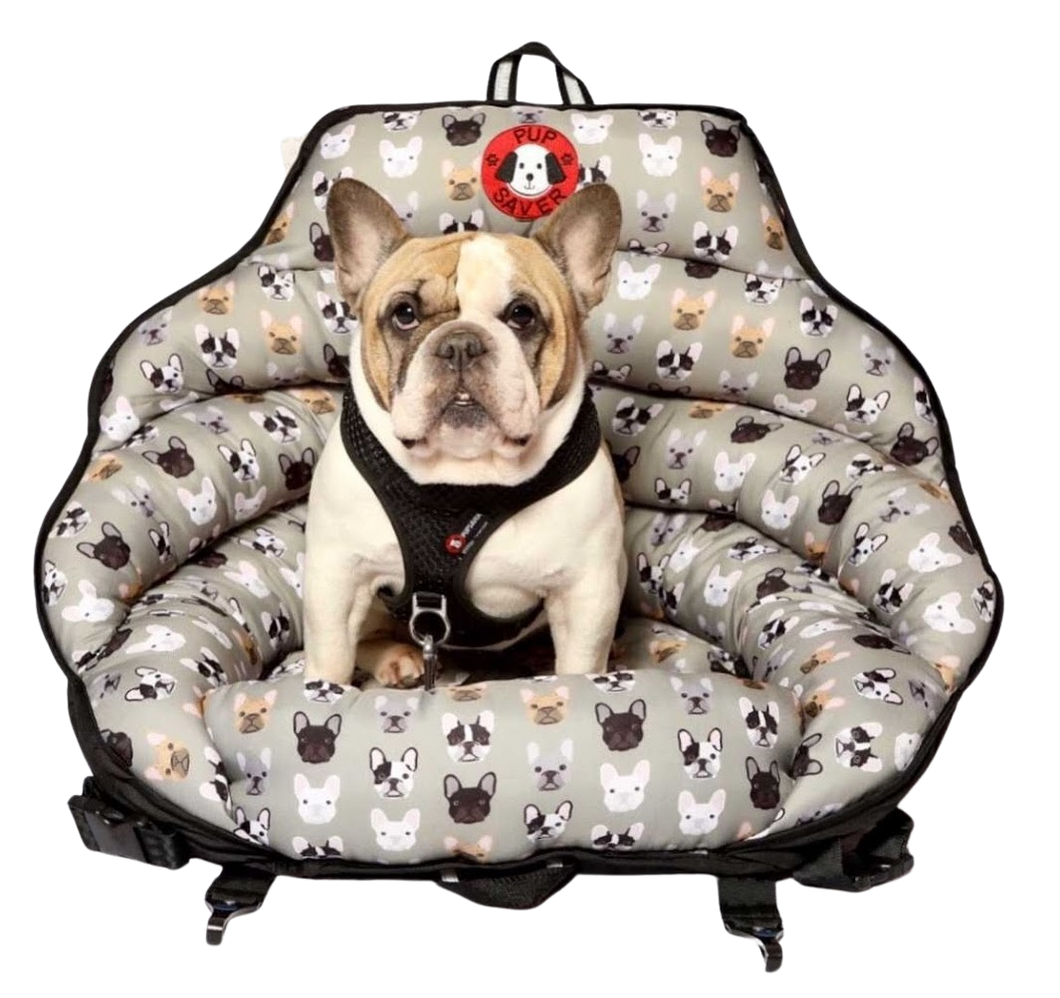 PupSaver French Bulldog
