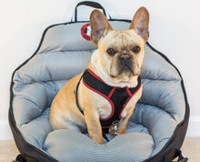 PupSaver Black & White Houndstooth