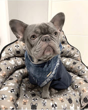 PupSaver French Bulldog