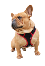 PupSaver Compatible Harnesses - Black With Red Trim