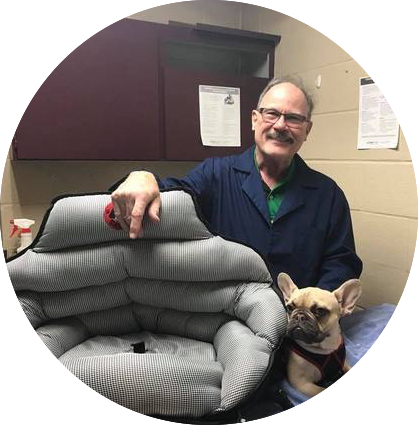 Safety tested deals dog car seat