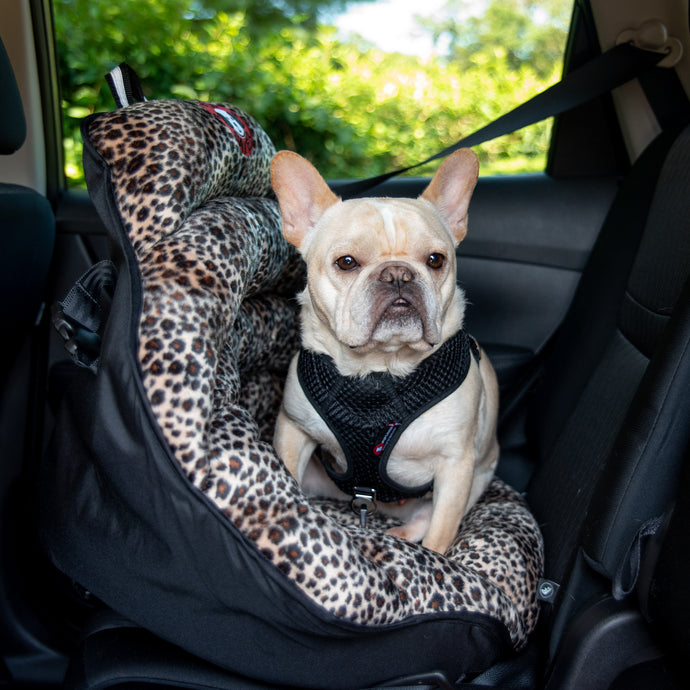 PupSaver - The Best Crash Tested Dog Car Seat