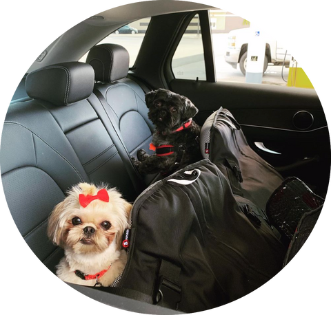 Crash tested dog car seats best sale