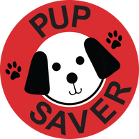 PupSaver - The Best Crash Tested Dog Car Seat