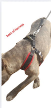 PupSaver Compatible Harnesses - Black & White Houndstooth