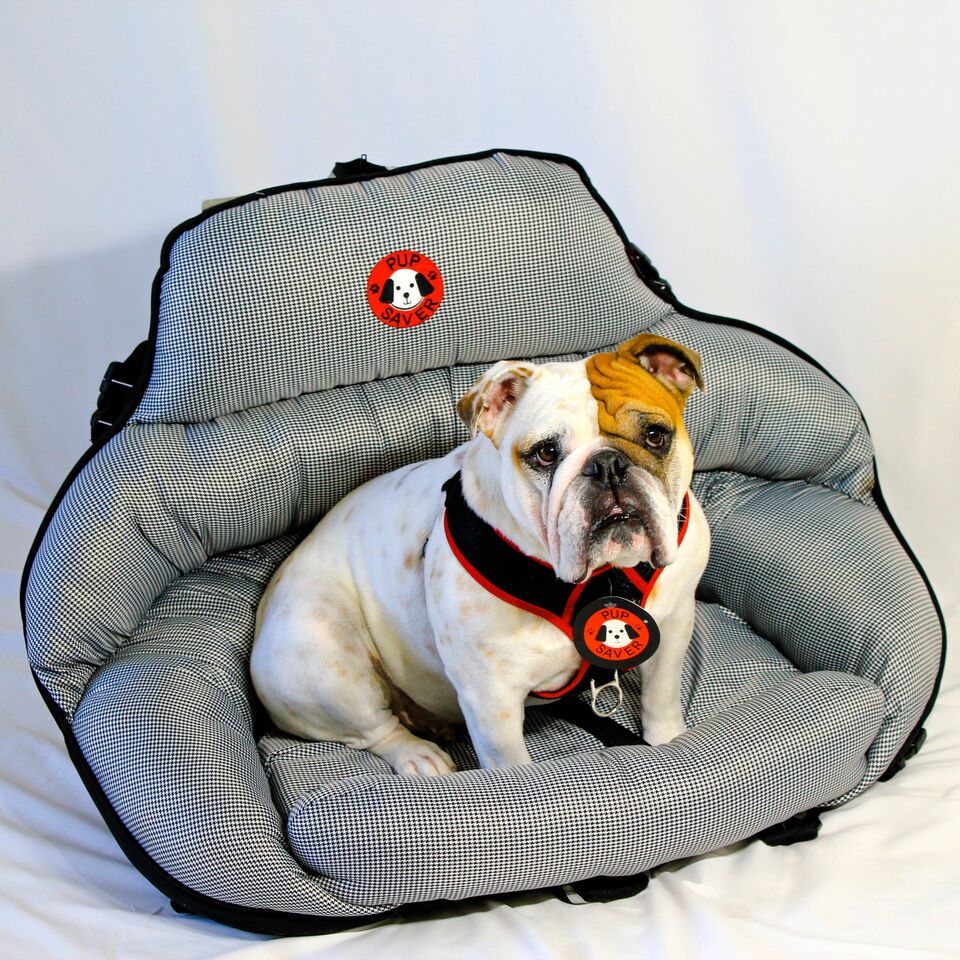 The best sales dog car seat