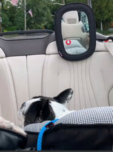PupSaver Rear Headrest Mirror (For Back Seat)